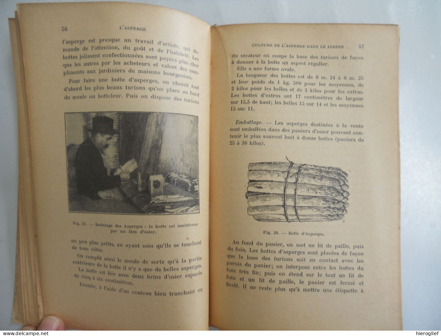 L'ASPERGE Culture Naturelle Et Artificielle Par F. Lesourd 1902 Paris Librairie Agricole De La Maison Rustique Tuinbouw - Jardinage