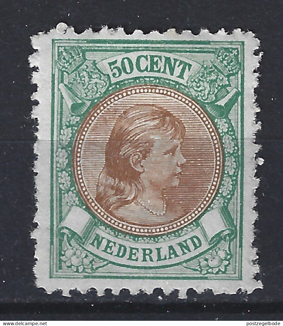 Nederland Netherlands Pays Bas Niederlande Holanda 45 MLH/ongebruikt ;  Wilhelmina 1893 - Nuevos