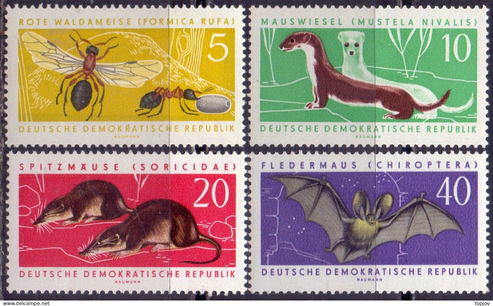 DDR - MAMALS  BATS - **MNH - 1962 - Fledermäuse