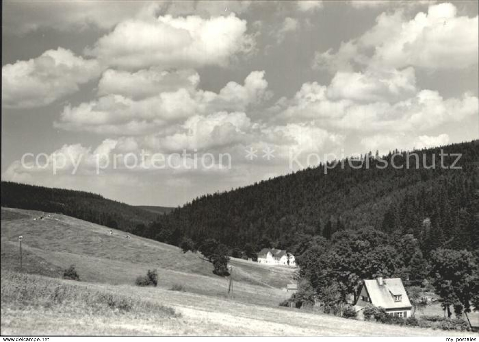 72341904 Schoenfeld Erzgebirge Ferienheim Gaststaette Des Reichsbahnamtes Dresde - Schmiedeberg (Erzgeb.)