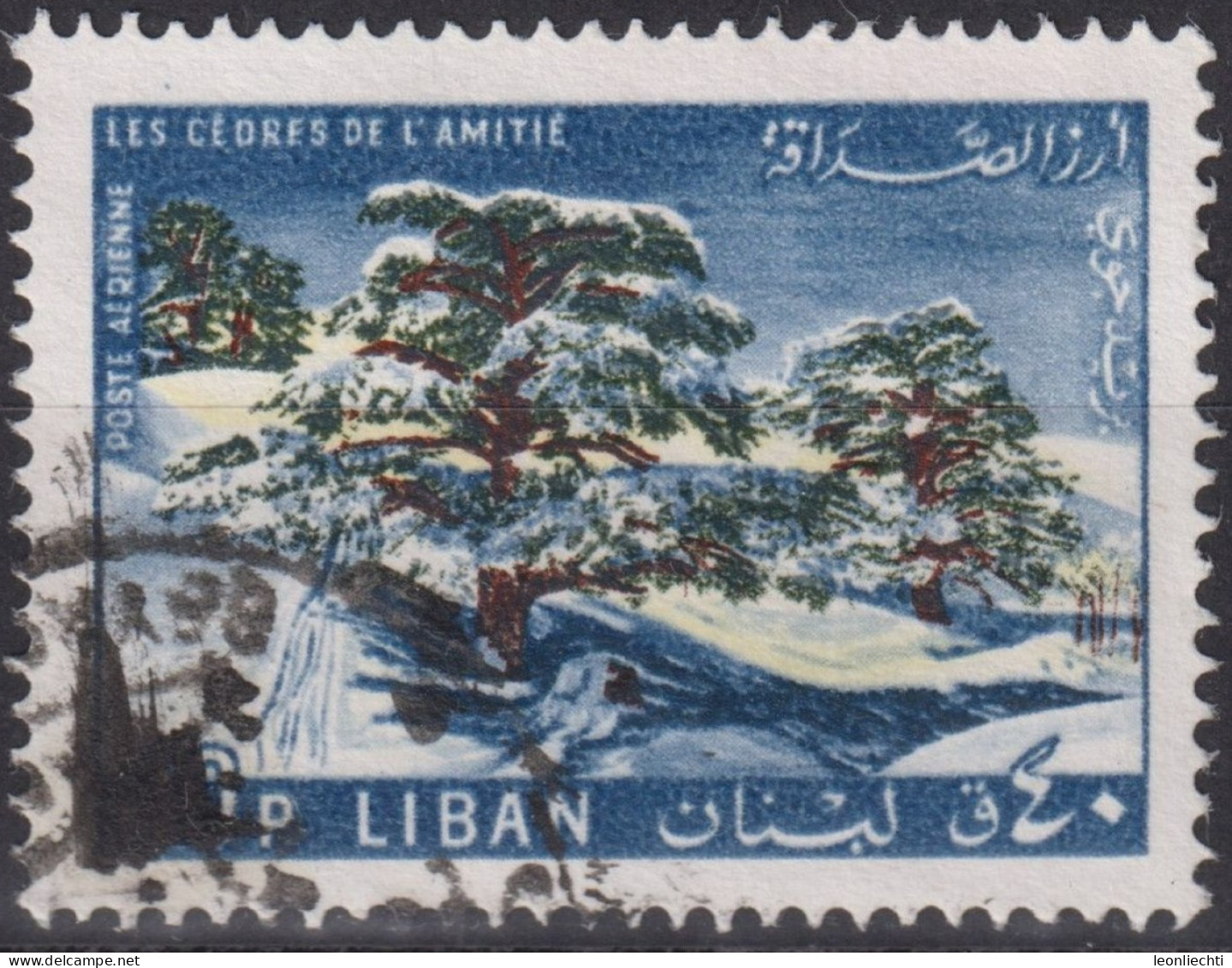 1965 Libanon Poste Arienne ° Mi:LB 914, Sn:LB C438, Yt:LB PA343, Cedars Of Friendship - Liban