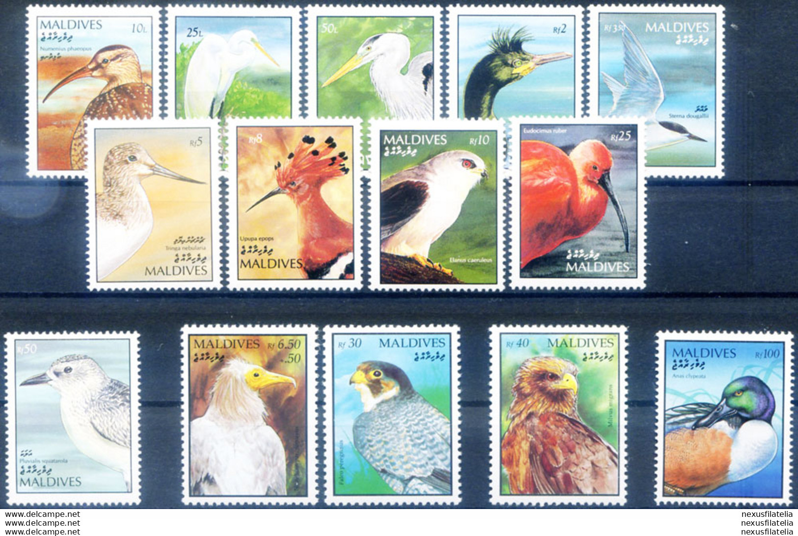 Definitiva. Uccelli 1991-1998. - Maldivas (1965-...)