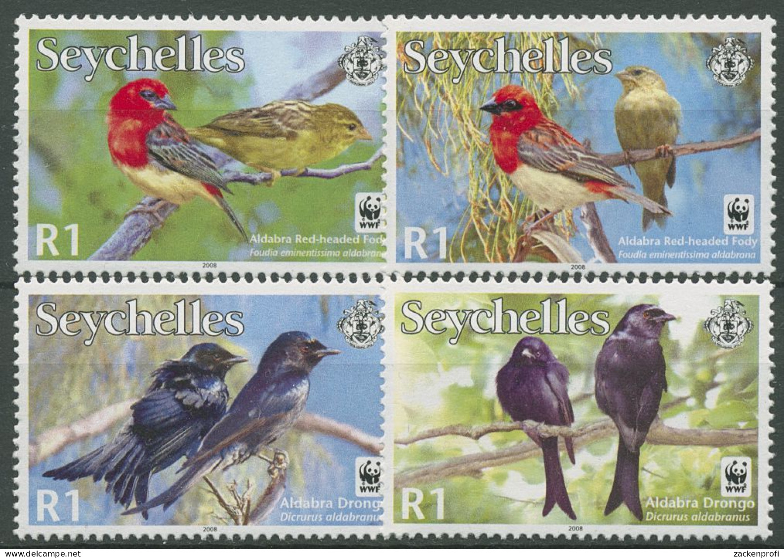 Seychellen 2008 WWF Naturschutz Vögel 911/14 Postfrisch - Seychelles (1976-...)