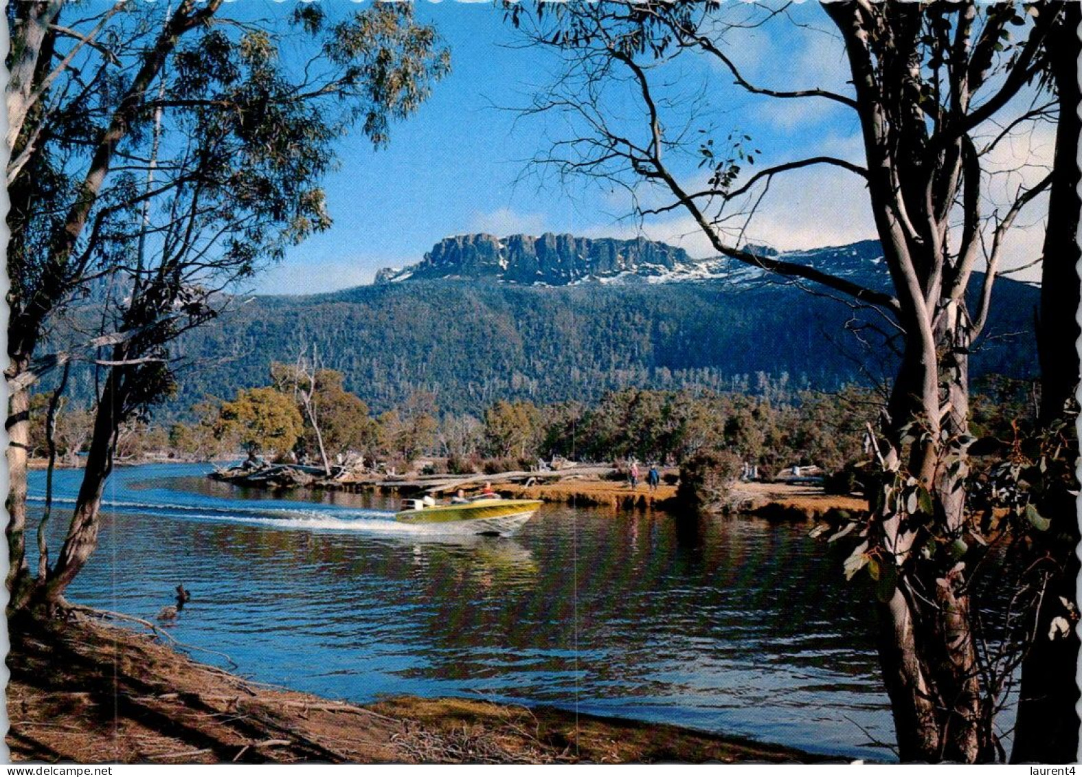 16-2-2024 (4 X 8) Australia - TAS - Mt Olympus At Lake St Clair - Wilderness