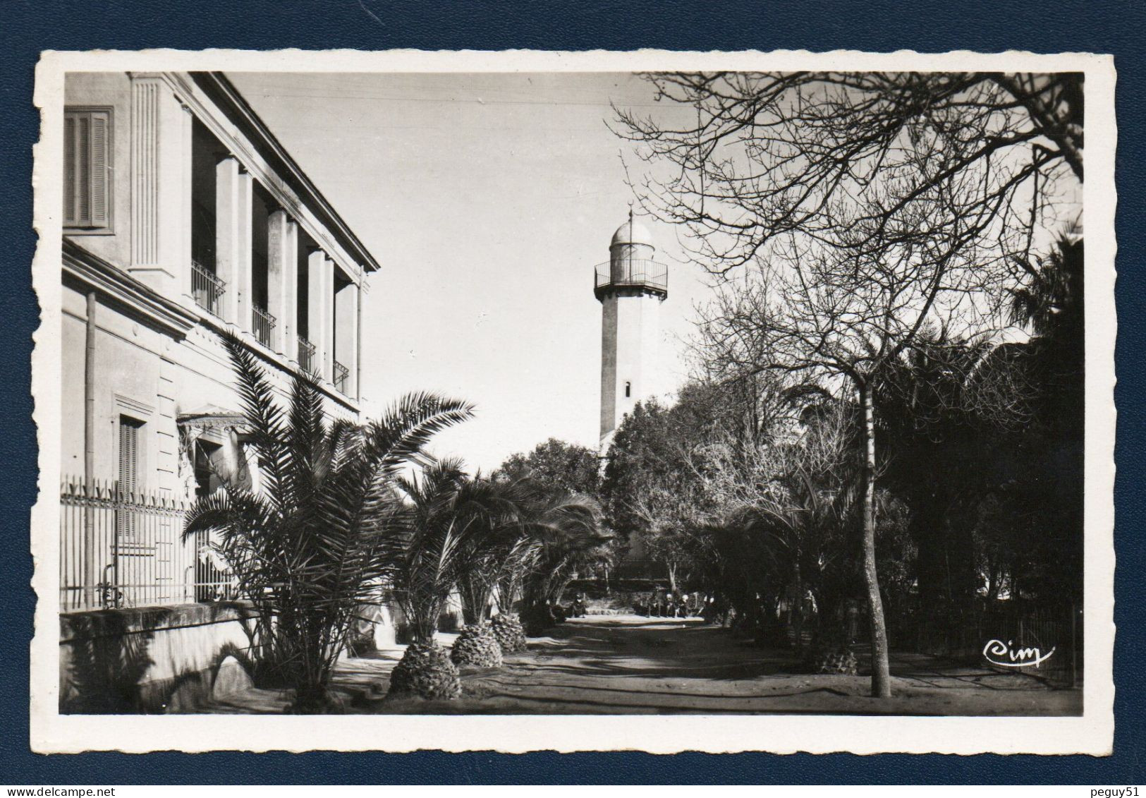 Algérie. Saïda. La Commune Mixte Et La Mosquée.. - Saïda