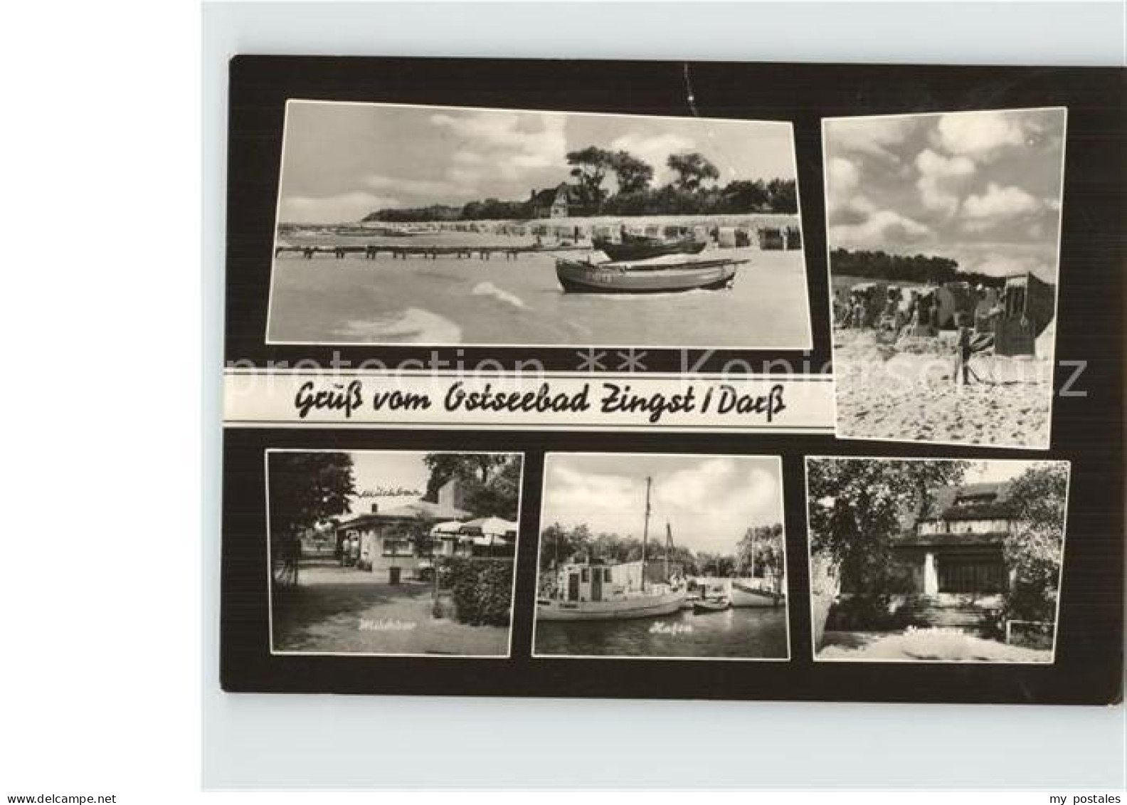 72434782 Zingst Ostseebad Strand Hafen  Zingst - Zingst