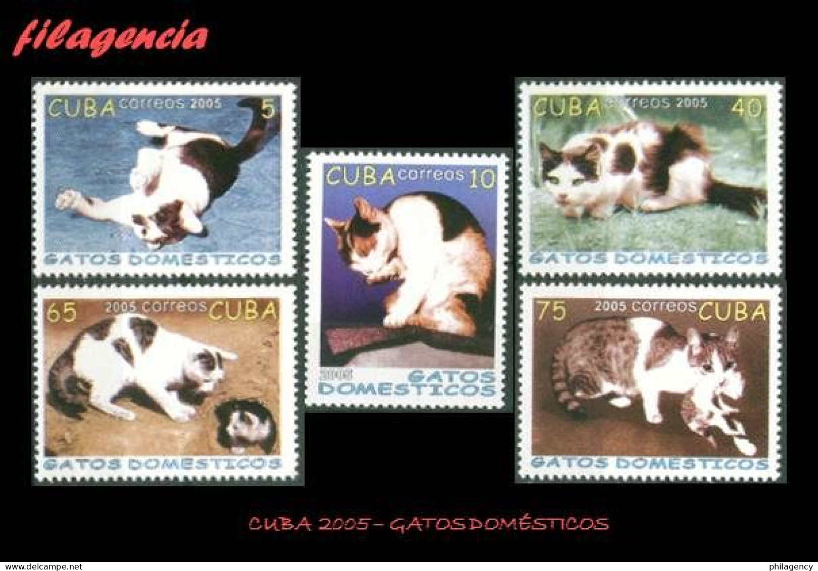 CUBA MINT. 2005-09 FAUNA. GATOS DOMÉSTICOS - Nuevos