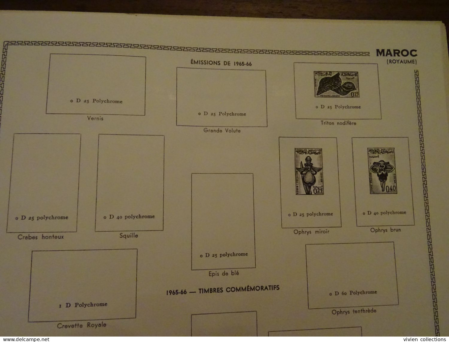 Collection colonies Algérie Maroc Tunisie complet (très rares manques) cote 10 000 € + classeurs doubles et indépendance