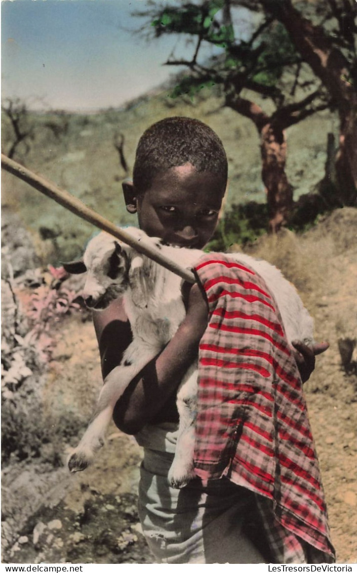 DJIBOUTI - L'enfant Et L'agneau - Colorisé - Carte Postale - Dschibuti