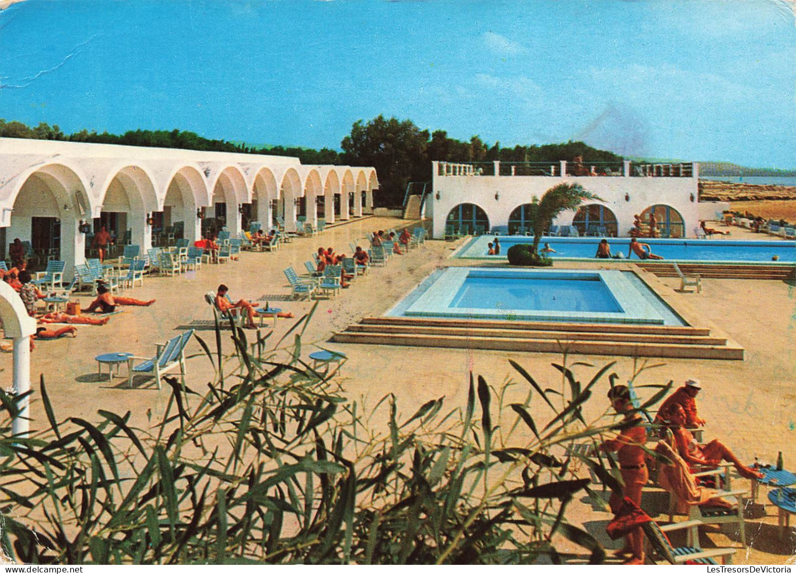 TUNISIES - Hammamet - Hôtel El Bousten - Vue Sur La Terrasse Et La Piscine - Colorisé - Carte Postale - Tunisia