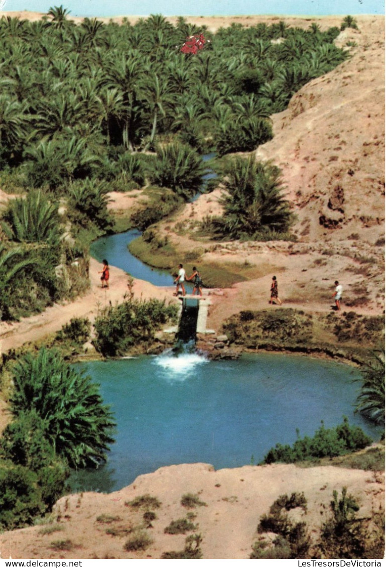 TUNISIES - Gabes - Chenini - Vue Sur Un Petit Lac - Colorisé - Carte Postale - Tunisie