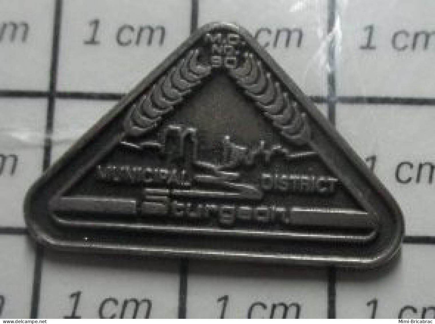 221 Pin's Pins : BEAU ET RARE / MARQUES / MUNICIPAL DISTRICT STURGEON EPI DE BLE - Geneeskunde