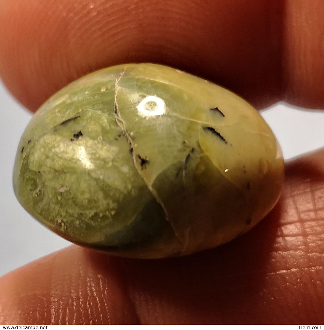 Opale Opaque Africaine: 27.67 Carats | Cabochon Ovale | Brun/Vert - Opaal