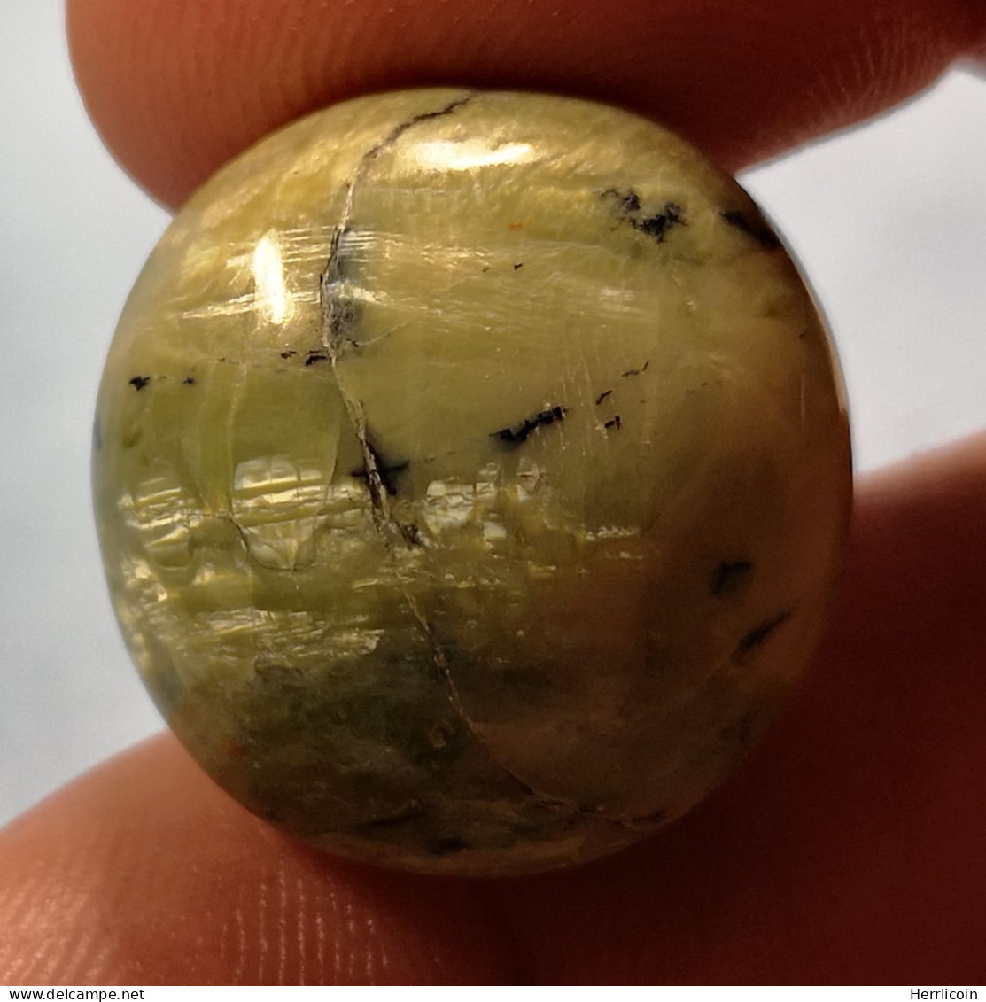 Opale Opaque Africaine: 27.67 Carats | Cabochon Ovale | Brun/Vert - Opaal