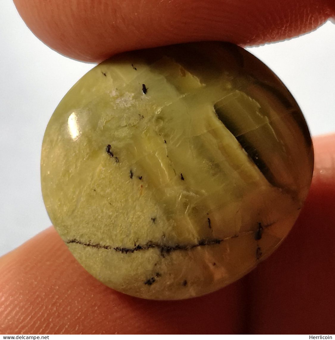 Opale Opaque Africaine: 27.67 Carats | Cabochon Ovale | Brun/Vert