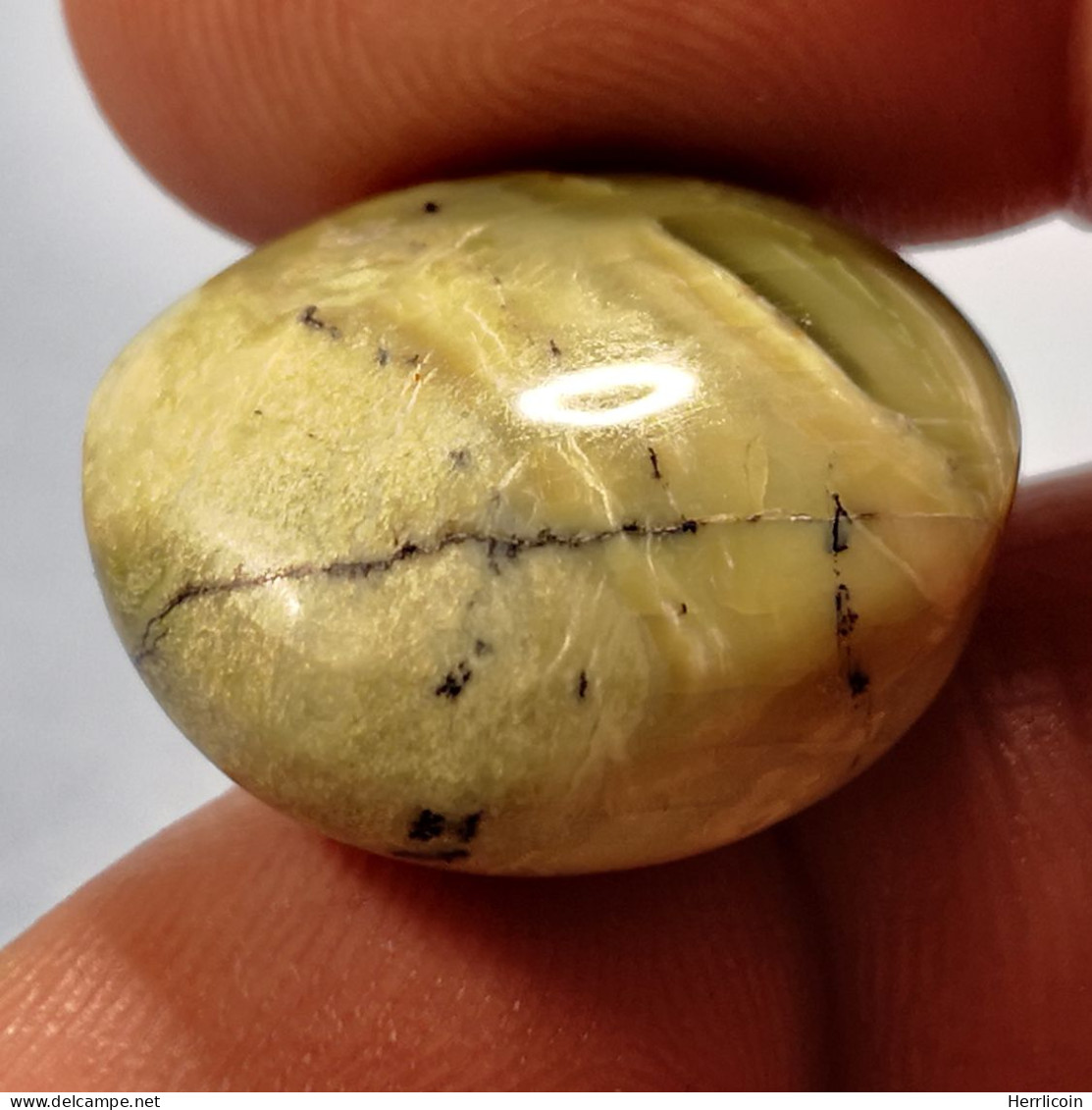 Opale Opaque Africaine: 27.67 Carats | Cabochon Ovale | Brun/Vert