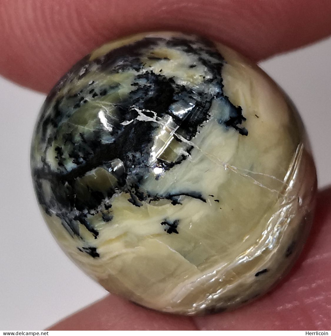 Opale Opaque Africaine: 16.94 Carats | Cabochon Ovale | Brun/Vert - Ópalo