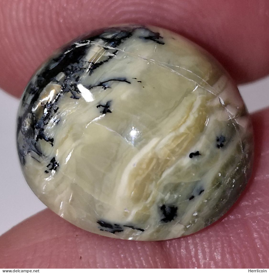 Opale Opaque Africaine: 16.94 Carats | Cabochon Ovale | Brun/Vert - Ópalo