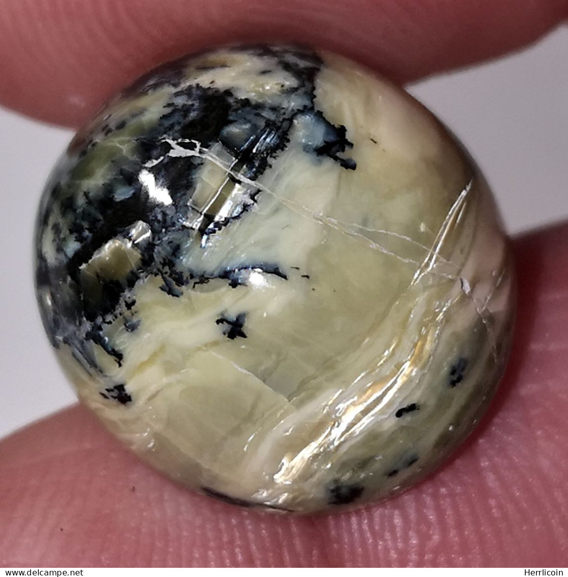 Opale Opaque Africaine: 16.94 Carats | Cabochon Ovale | Brun/Vert - Opale