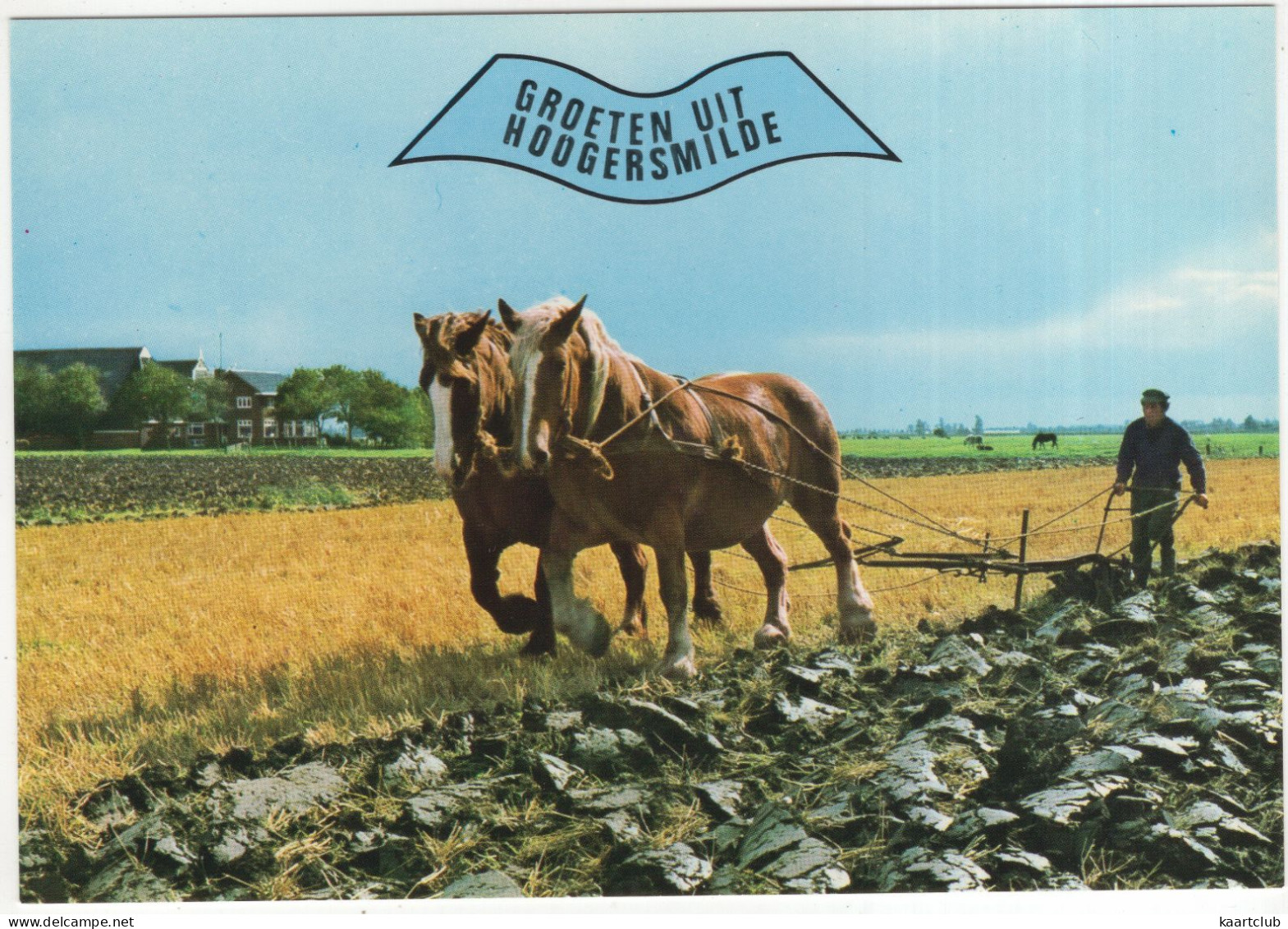 Groeten Uit Hoogersmilde - (Drenthe, Nederland/Holland) - Ploegende Boer, Paarden - Smilde