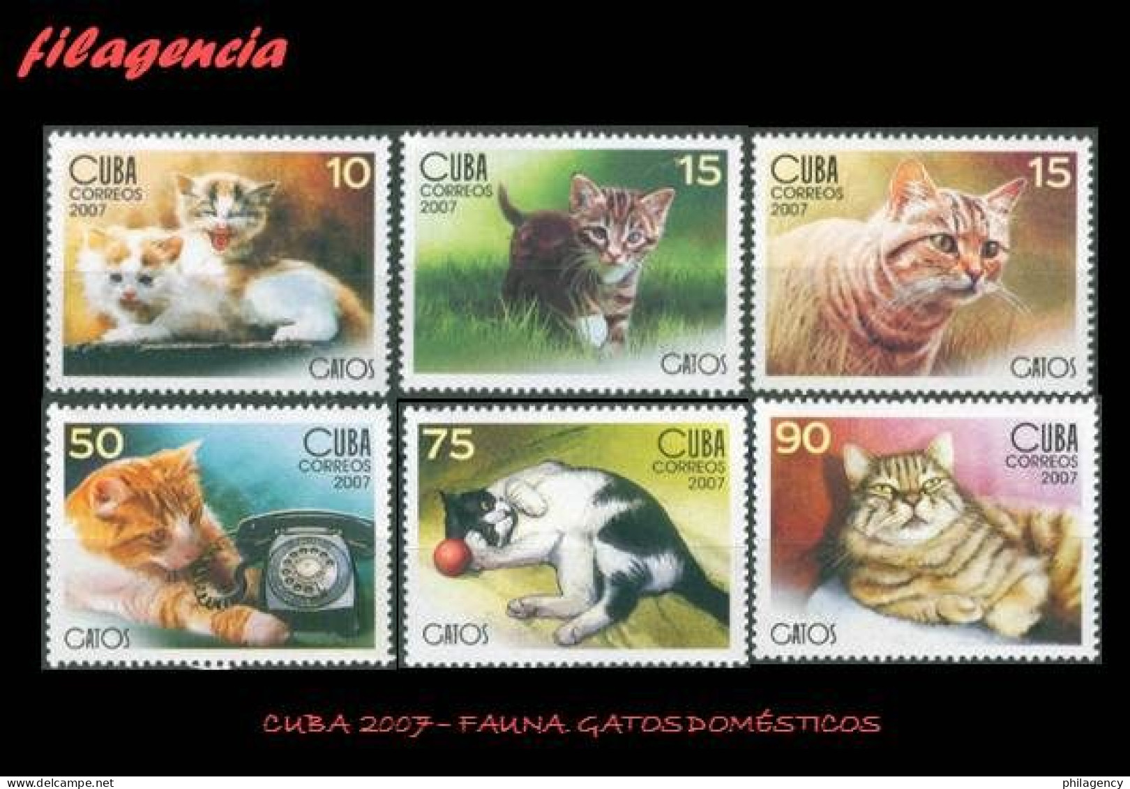 CUBA MINT. 2007-05 FAUNA. GATOS DOMÉSTICOS - Nuevos