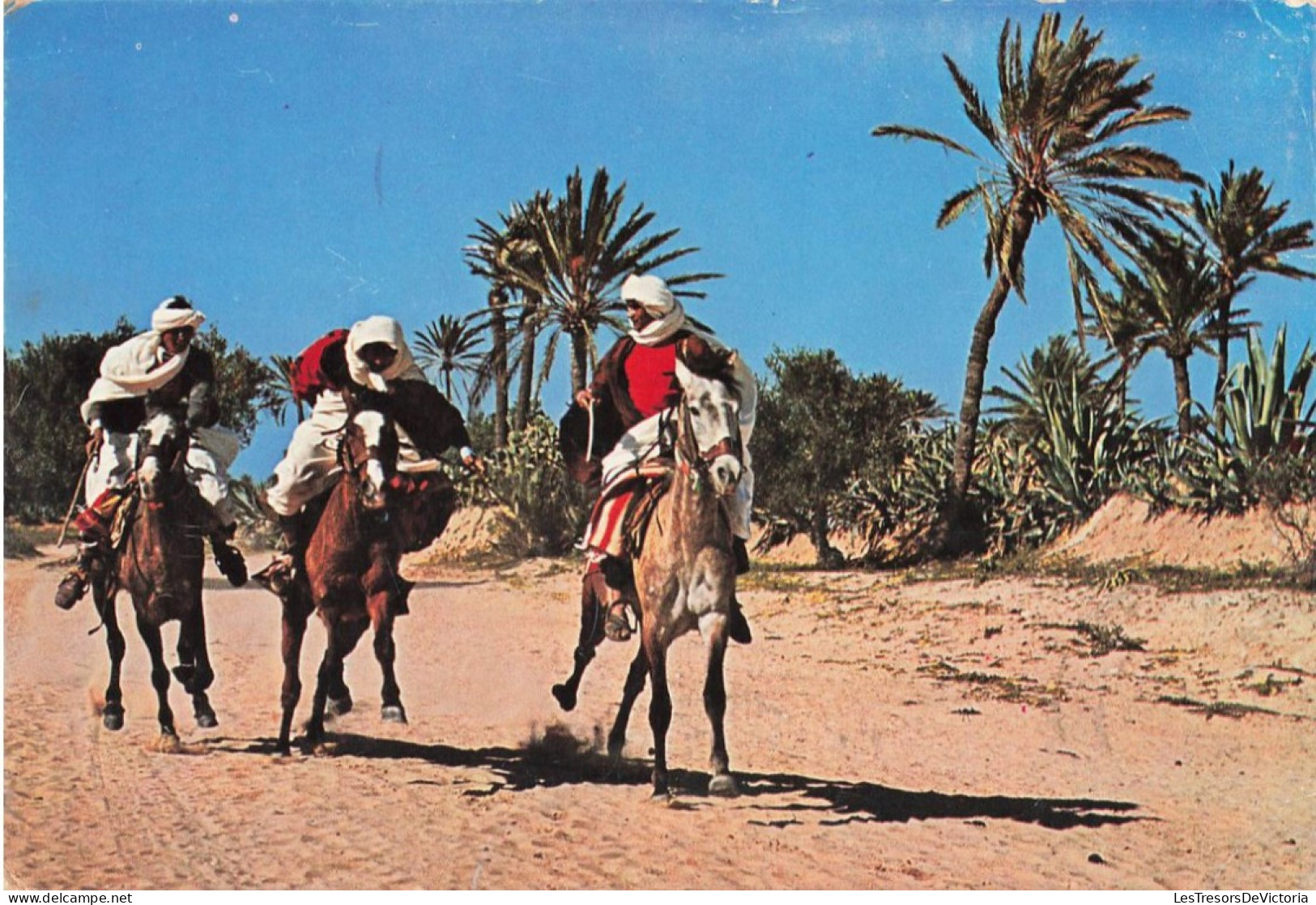 TUNISIE - Midoun - Un Voyage à Cheval Dans Le Désert - Colorisé - Carte Postale - Tunisia