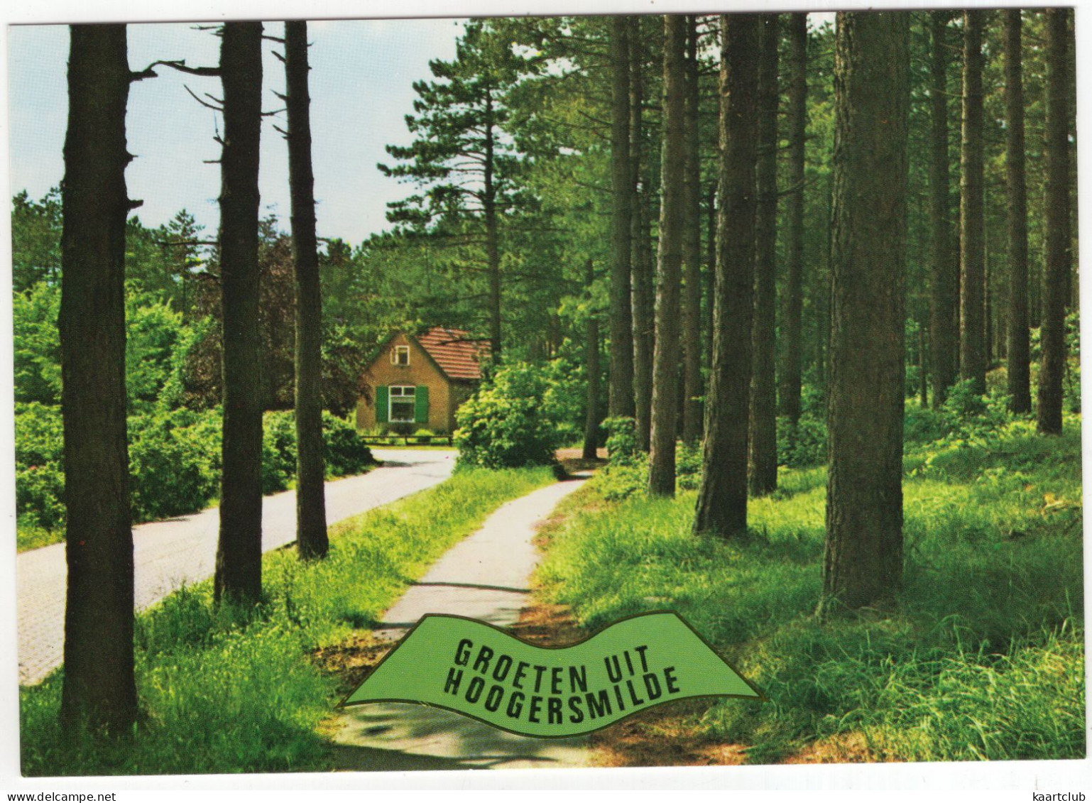 Groeten Uit Hoogersmilde - (Drenthe, Nederland/Holland) -  Verscholen Boerderij In Het Bos - Smilde