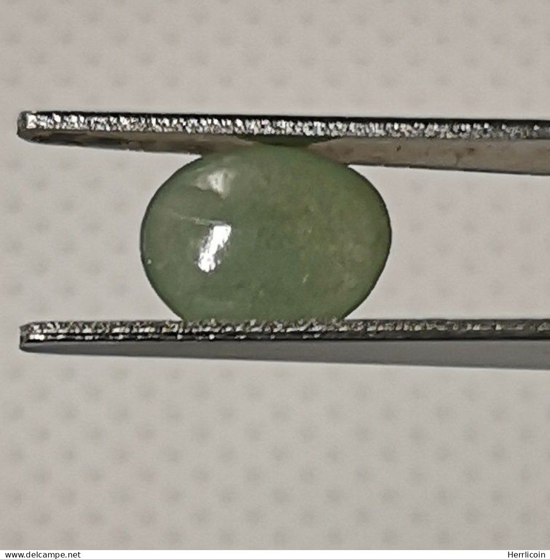 Jadéite Cabochon Birmanie: 1.41 Carat | Ovale, Poli | Vert Semi-translucide - Giada