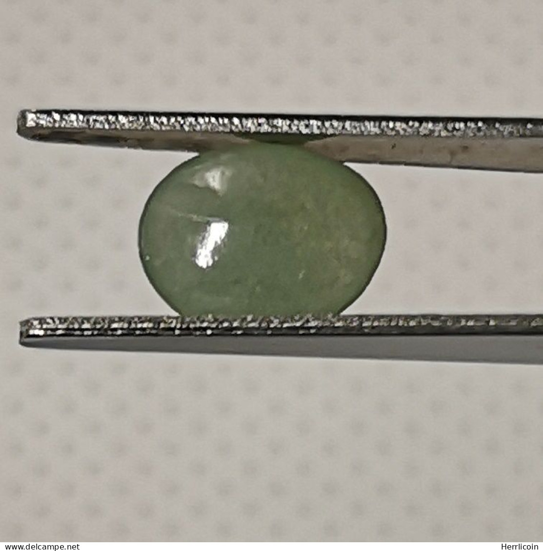 Jadéite Cabochon Birmanie: 1.41 Carat | Ovale, Poli | Vert Semi-translucide - Jade
