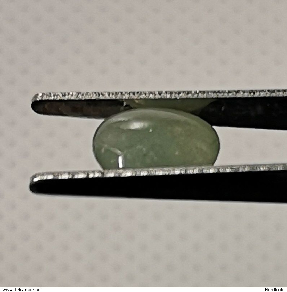 Jadéite Cabochon Birmanie: 1.41 Carat | Ovale, Poli | Vert Semi-translucide - Jade