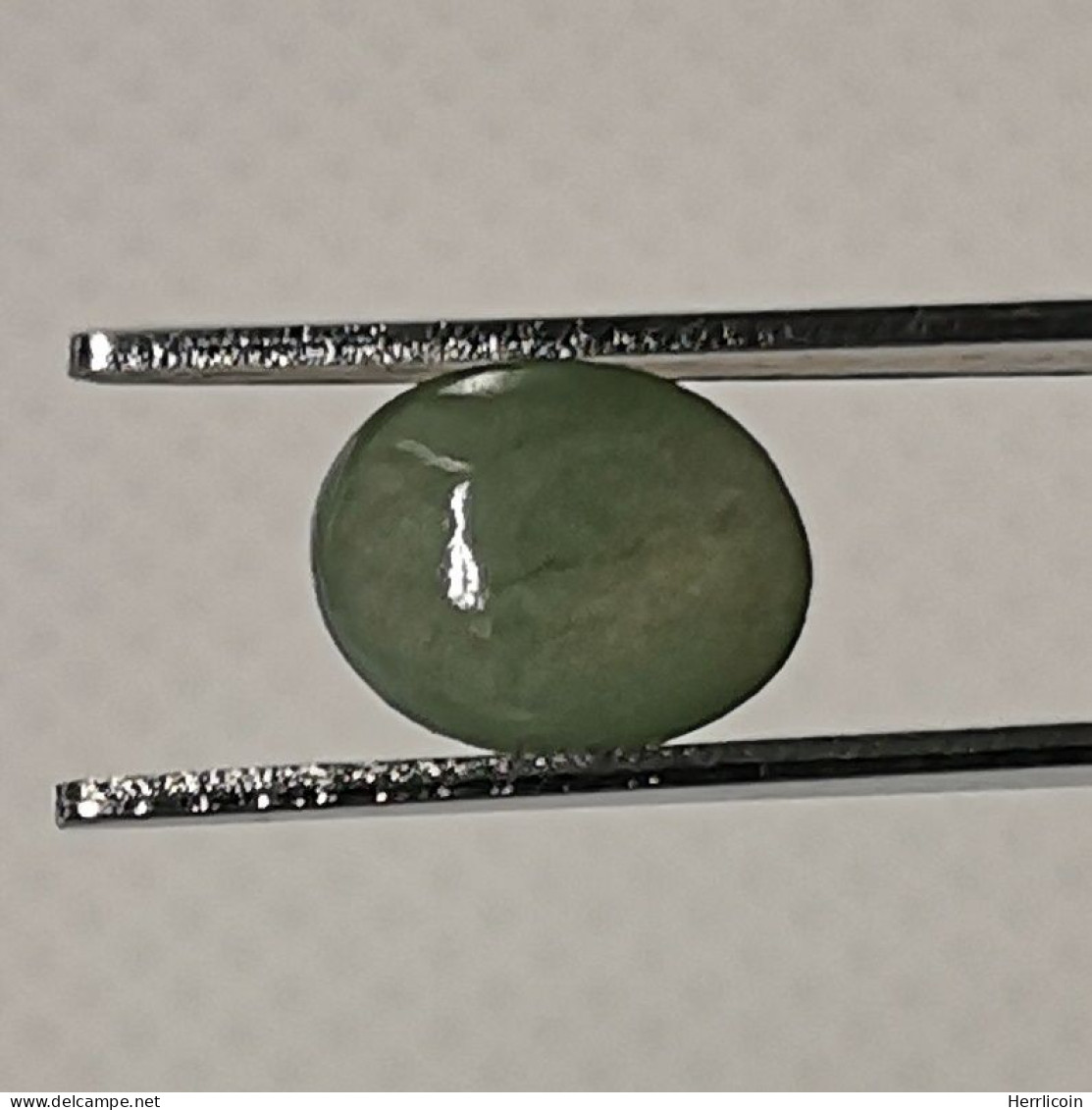 Jadéite Cabochon Birmanie: 1.41 Carat | Ovale, Poli | Vert Semi-translucide