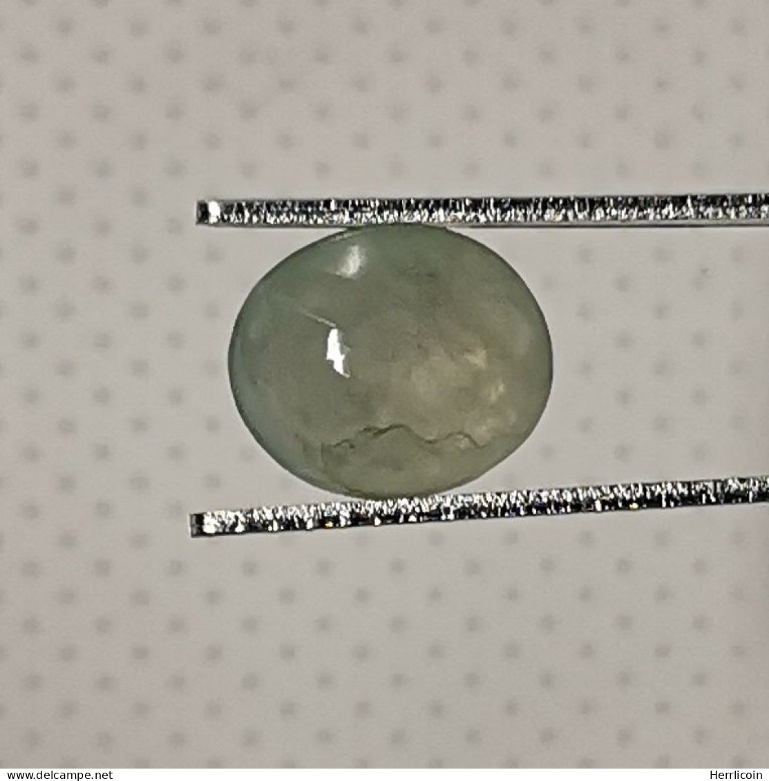 Jadéite Cabochon Birmanie: 2.50 Carats | Ovale, Poli | Vert Semi-translucide - Giada