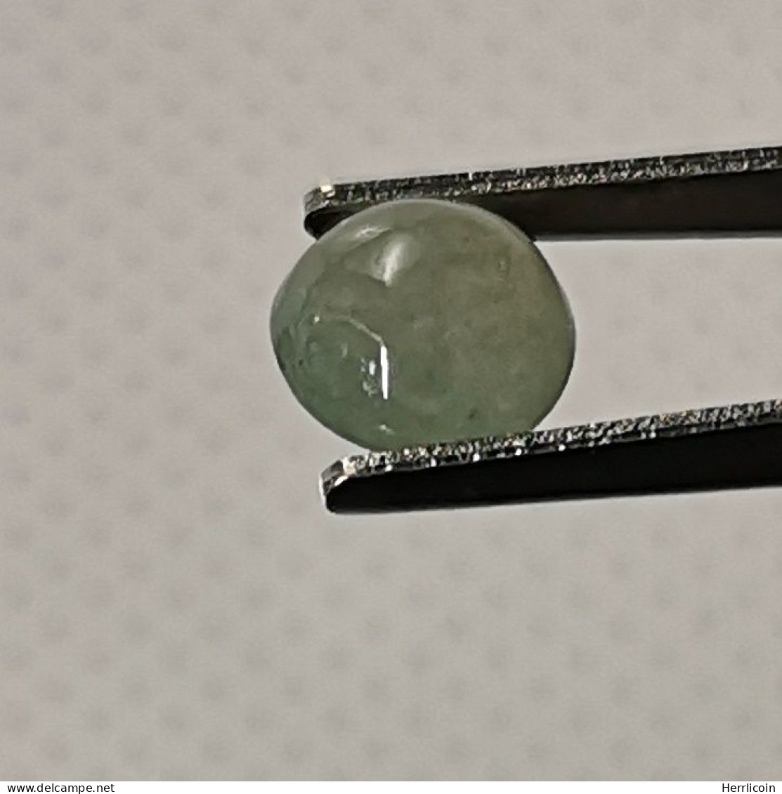 Jadéite Cabochon Birmanie: 1.47 Carat | Ovale Presque Rond | Vert Semi-translucide - Jade