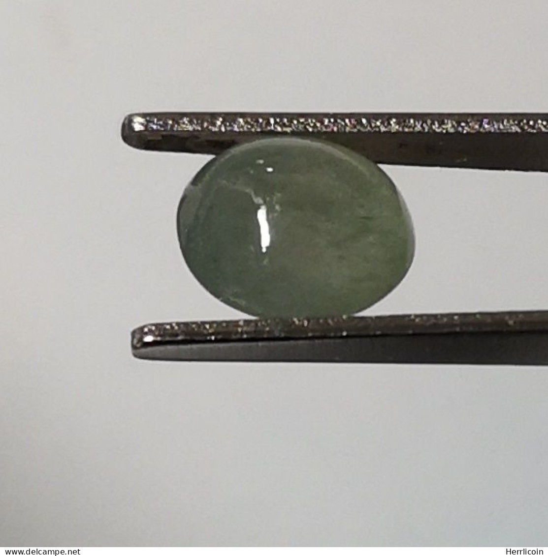 Jadéite Cabochon Birmanie: 1.52 Carat | Ovale, Poli | Vert Semi-translucide - Jade