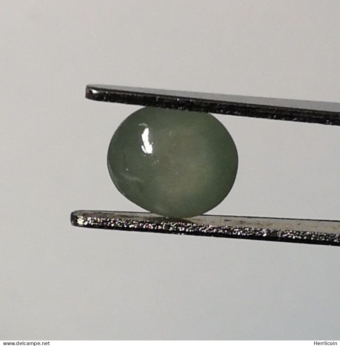 Jadéite Cabochon Birmanie: 1.52 Carat | Ovale, Poli | Vert Semi-translucide - Jade