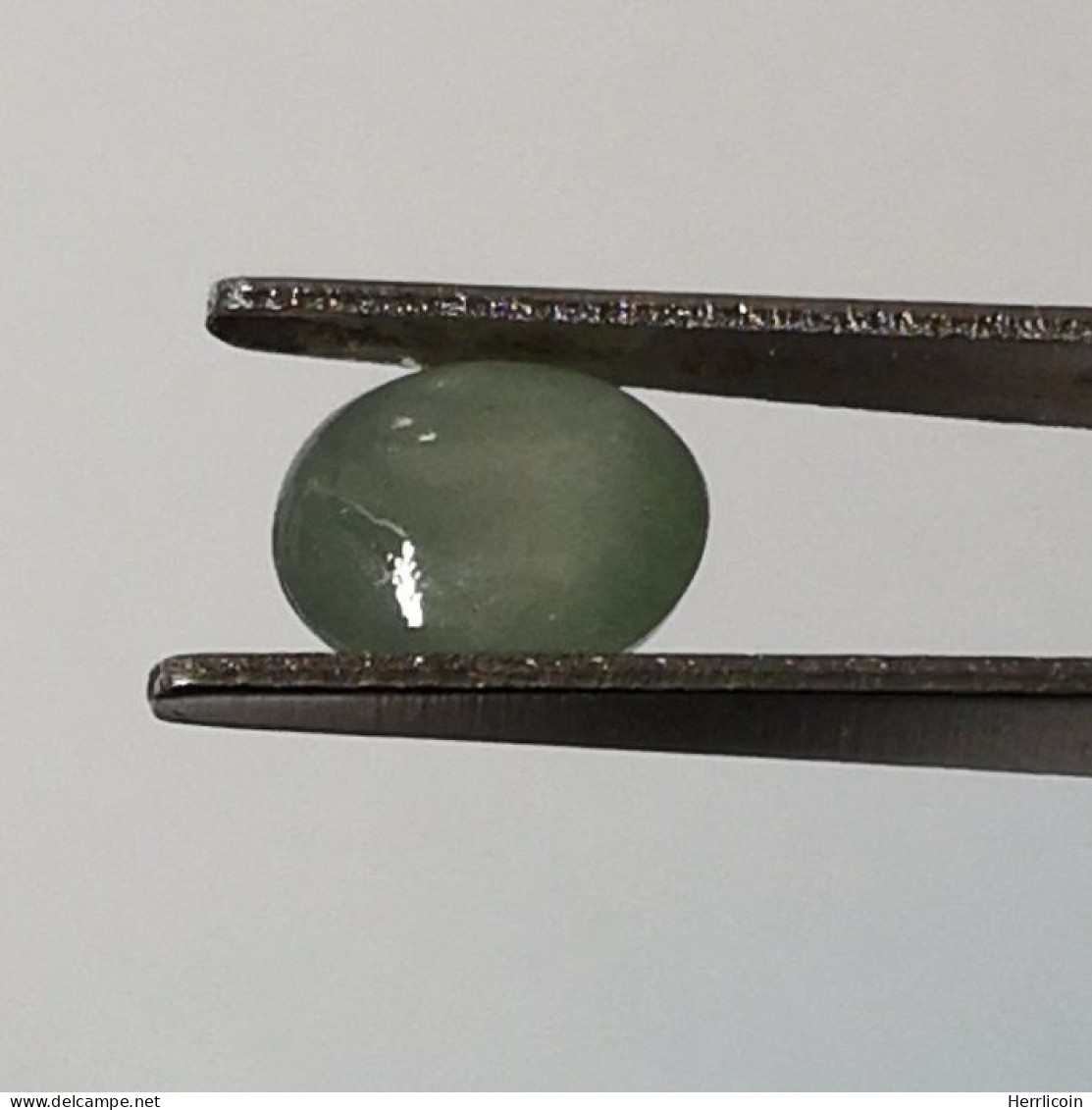 Jadéite Cabochon Birmanie: 1.52 Carat | Ovale, Poli | Vert Semi-translucide - Jade