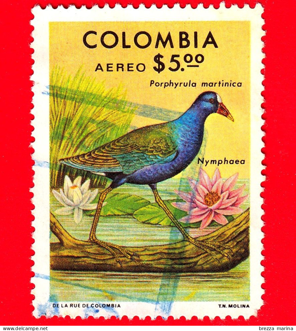 COLOMBIA - USATO - 1977 - Animali ( Fauna ) - Uccelli - 5.00 - Colombia