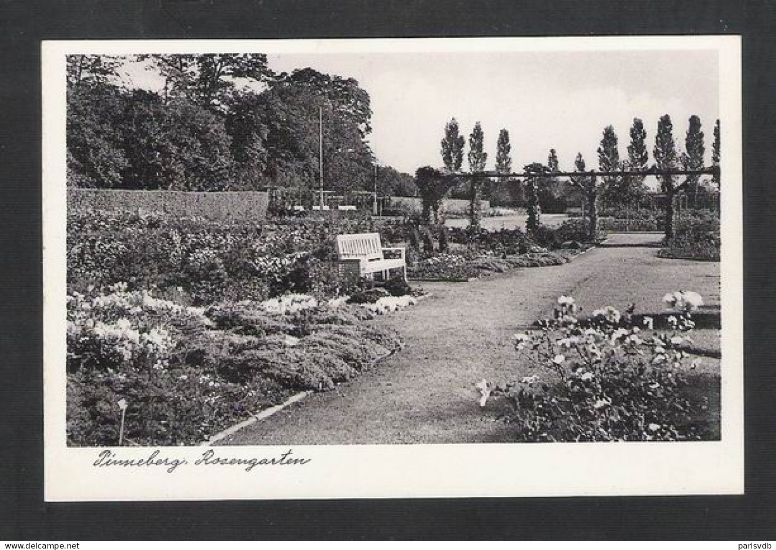 PINNEBERG  Rosengarten - ALTE KARTE / OUDE POSTKAART / VIEILLE CPA  (D 060) - Pinneberg