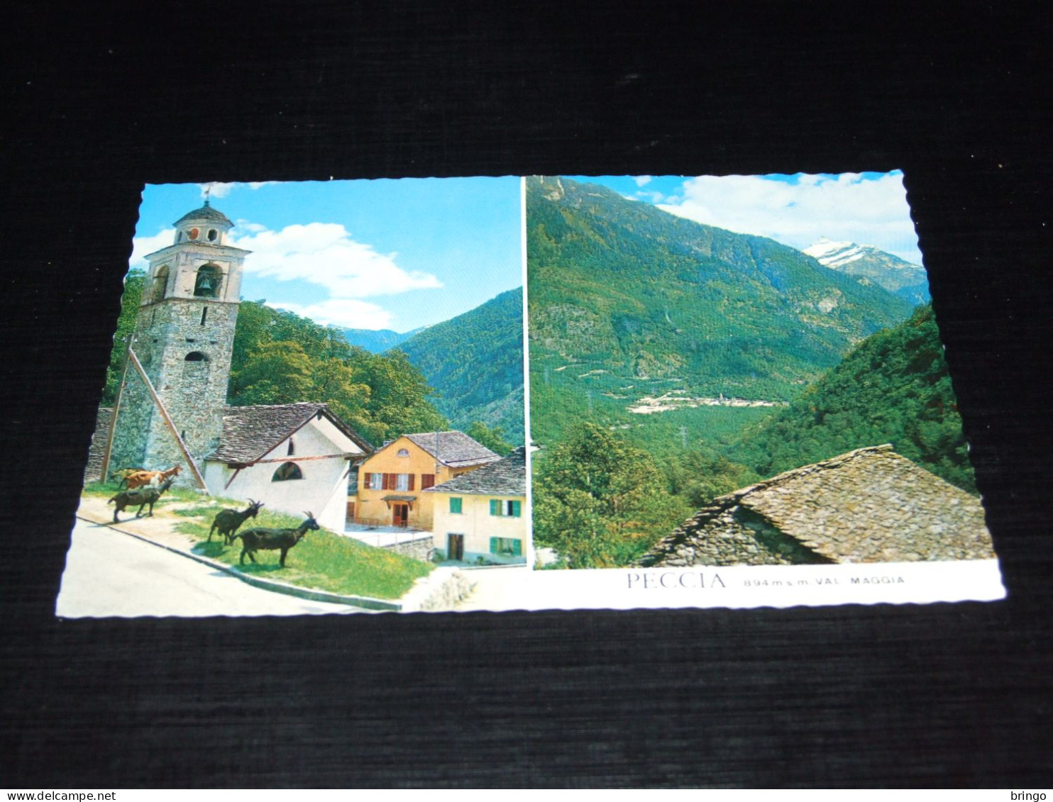 69893-                  PECCIA, VAL MAGGIA - Maggia