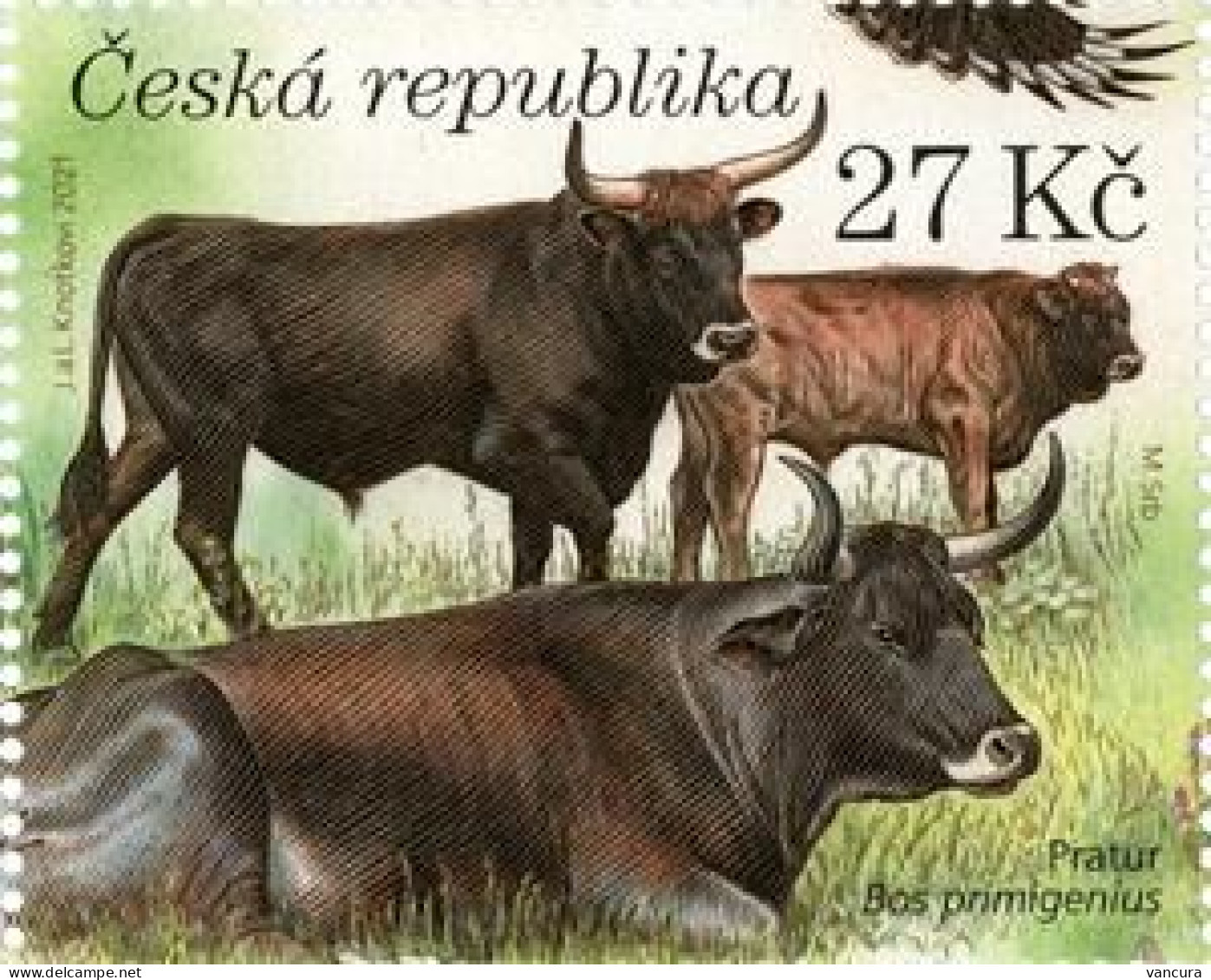 1128 Czech Republic Milovice 2021 Bos Primigenius - Vaches