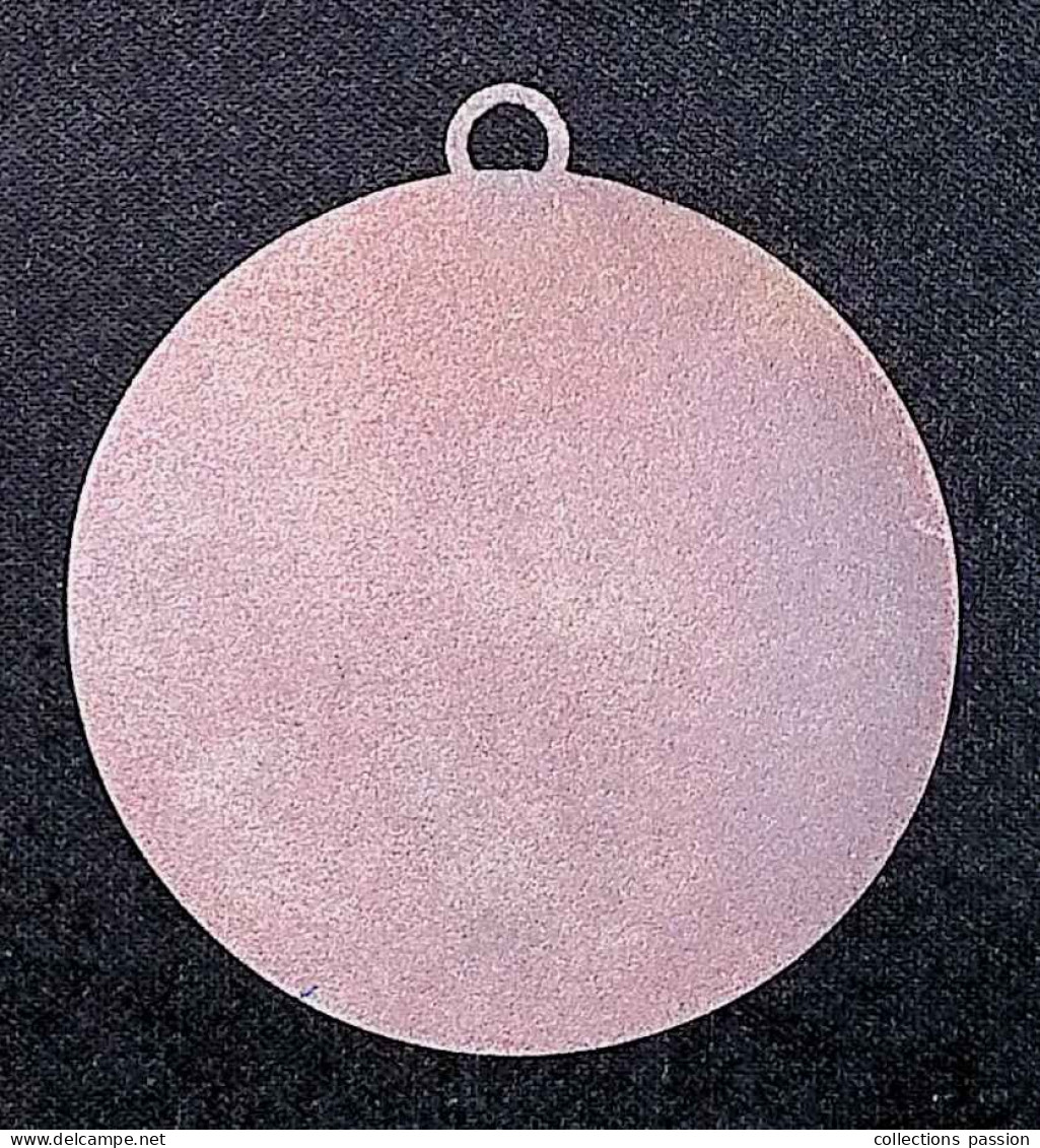 Médaille Métal, Email, Chaine Des Rôtisseurs, 1248-1950, 2 Scans, Frais Fr 2.25 E - Professionali / Di Società