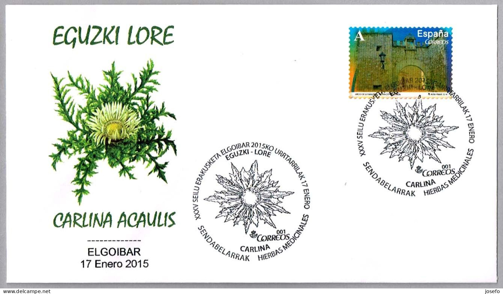 Hierbas Medicinales - EGUSKI LORE - CARLINA ACAULIS. Elgoibar, Guipuzcoa, 2015 - Geneeskrachtige Planten