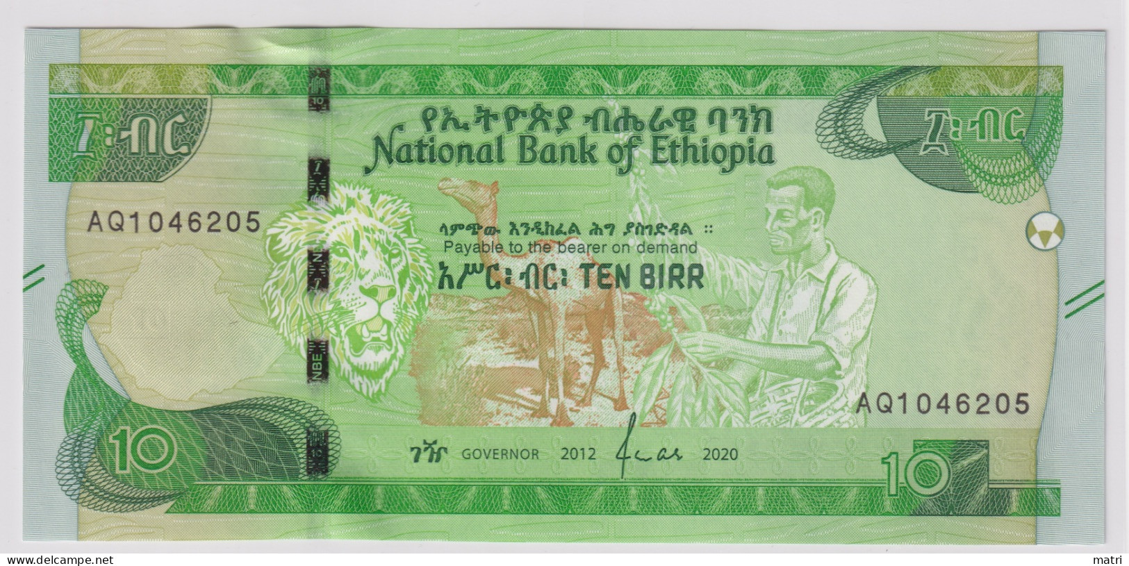 Ethiopia 10 Birr 2020 P-53 - Aethiopien