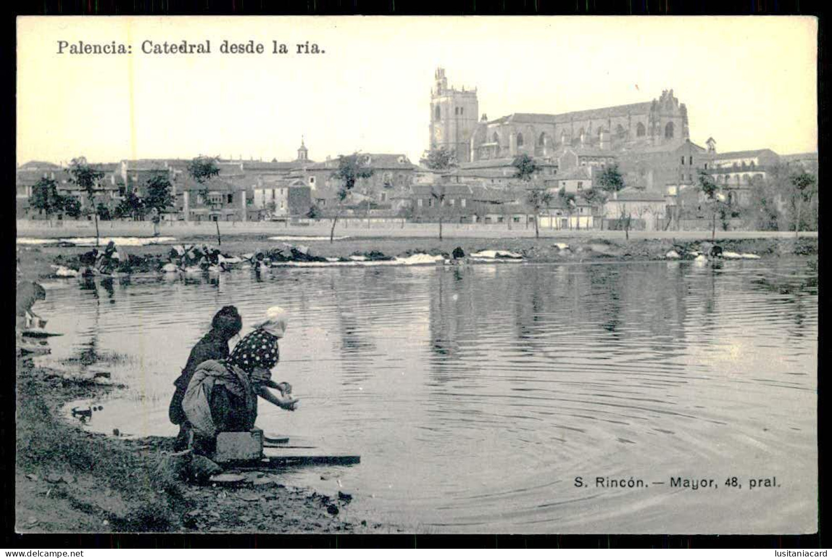 PALENCIA - Catedral Desde La Ria.( Ed. S.Rincón / Fot. Lacoste )  Carte Postale - Palencia
