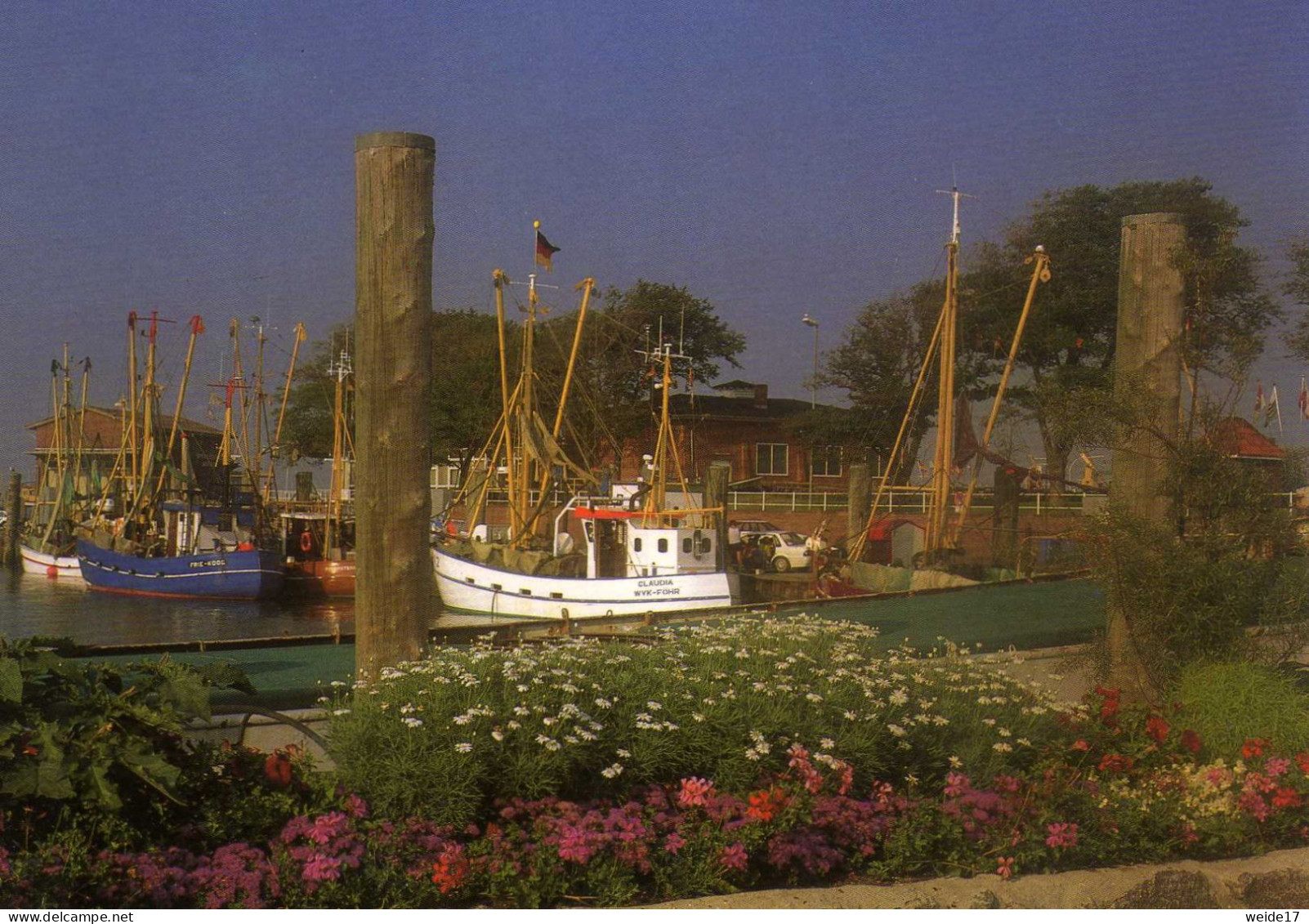 05435 -  WYK Auf Föhr - Blick Auf Die Fischkutter Im Hafen Von Wyk - Föhr