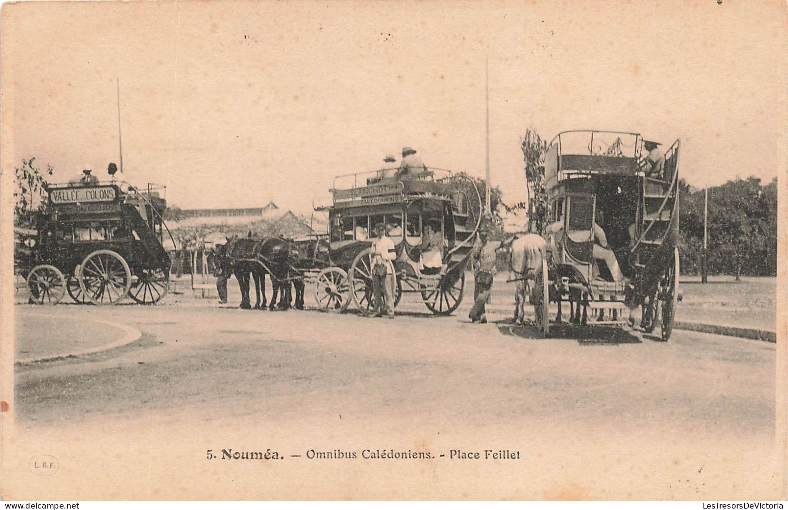 Nouvelle Calédonie - Nouméa - Omnibus Calédoniens - Place Feillet - Attelage -   Carte Postale Ancienne - New Caledonia