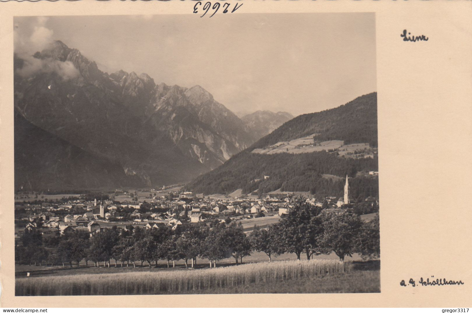 E4466) LIENZ - - Schöllhorn FOTO AK Mit Allee U. Feld Im Vordergrund ALT! - Lienz