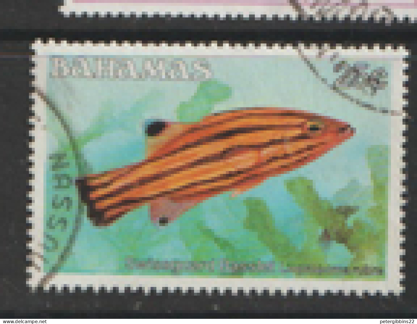 Bahamas 1986  SG 762a Basslet   Fine Used - Bahamas (1973-...)