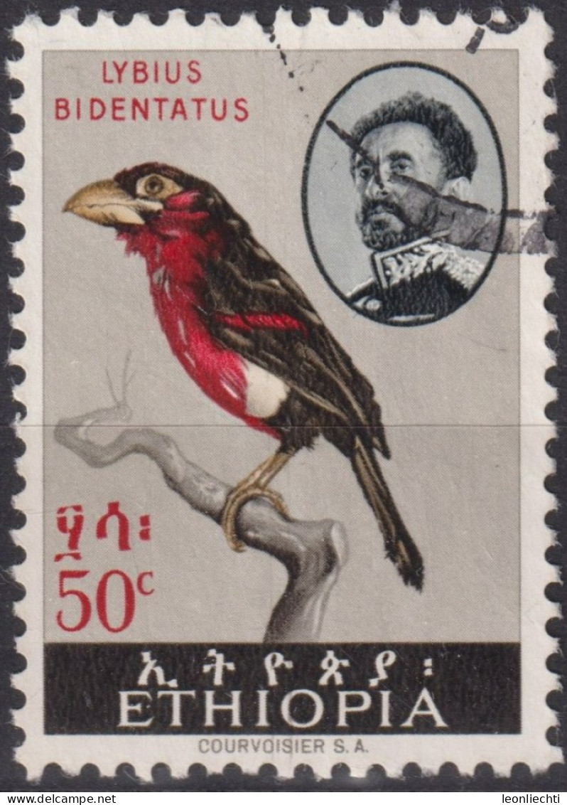 1965 Äthiopien ° Mi:ET 428, Sn:ET 389, Yt:ET 391, Double-toothed Barbet (Lybius Bidentatus), Vögel - Ethiopia