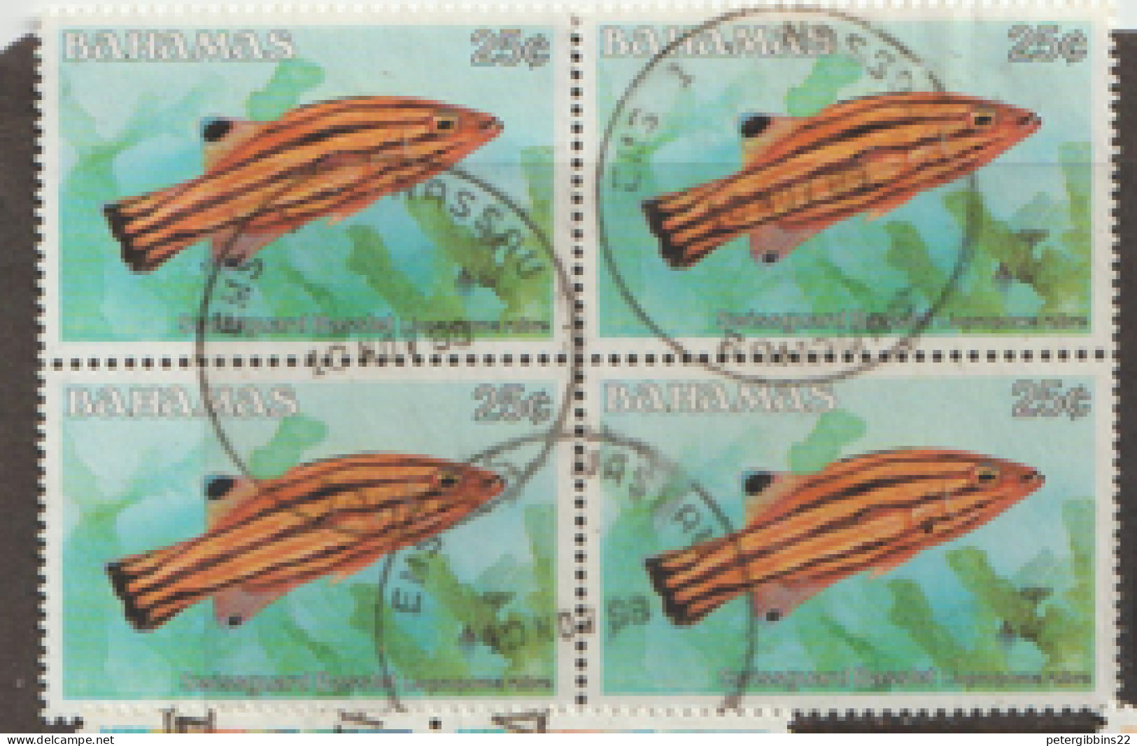 Bahamas 1986  SG 762a  Basslet   Fine Used Block Of Four - Bahamas (1973-...)